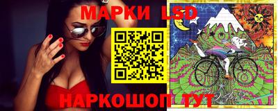 твердый Будённовск