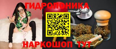 твердый Будённовск