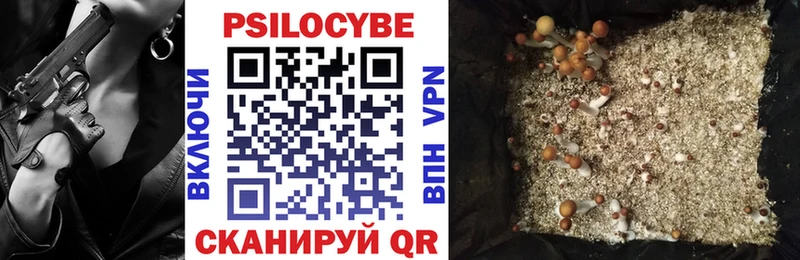 Псилоцибиновые грибы прущие грибы  купить   Ипатово 