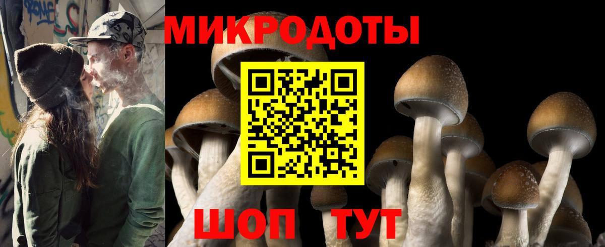 Псилоцибиновые грибы ЛСД Ипатово